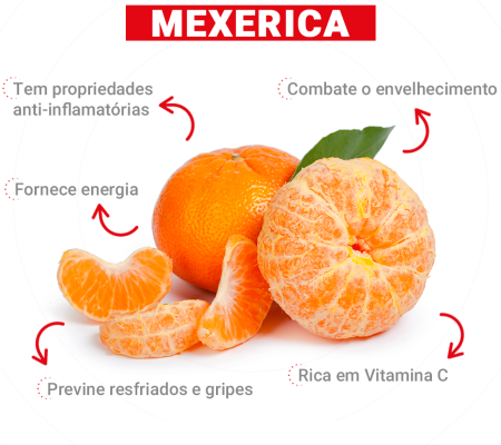 Fruta da Estação